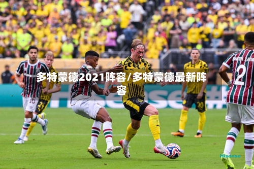 多特蒙德2021阵容/多特蒙德最新阵容