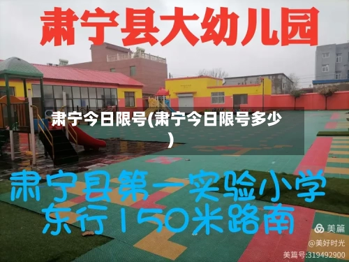 肃宁今日限号(肃宁今日限号多少)
