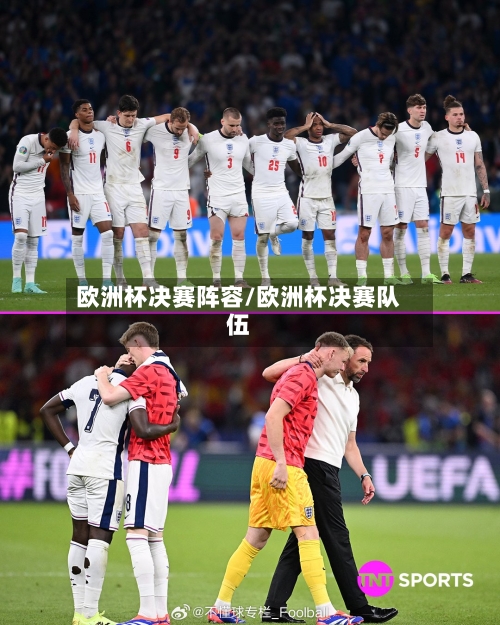 欧洲杯决赛阵容/欧洲杯决赛队伍-第3张图片