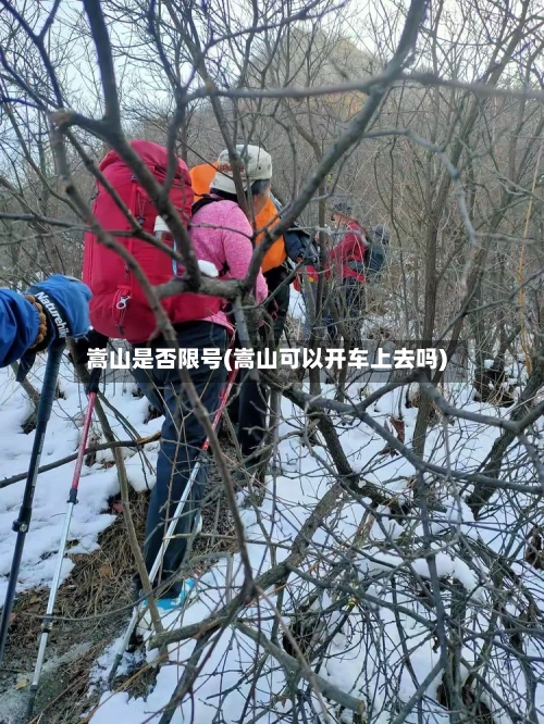 嵩山是否限号(嵩山可以开车上去吗)-第2张图片
