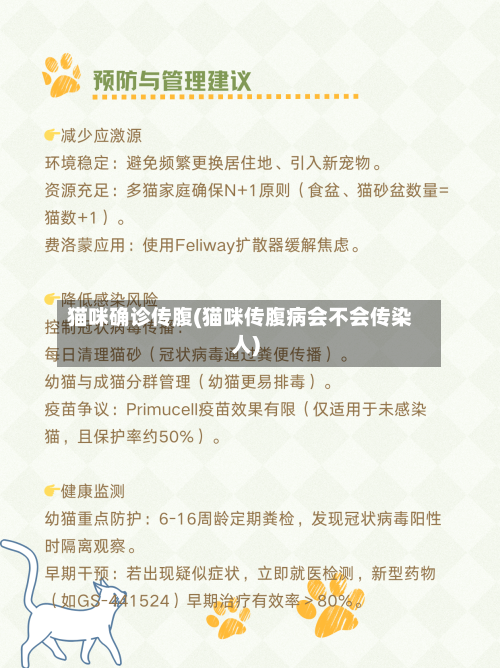 猫咪确诊传腹(猫咪传腹病会不会传染人)-第2张图片