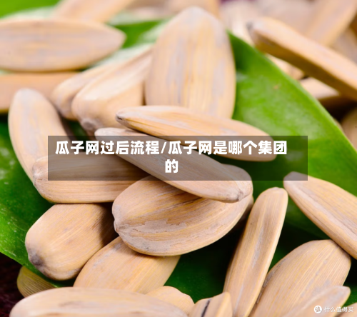 瓜子网过后流程/瓜子网是哪个集团的-第3张图片