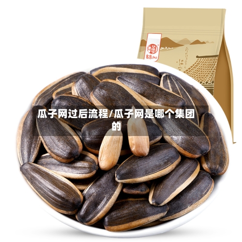 瓜子网过后流程/瓜子网是哪个集团的-第2张图片