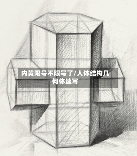 内黄限号不限号了/人体结构几何体速写