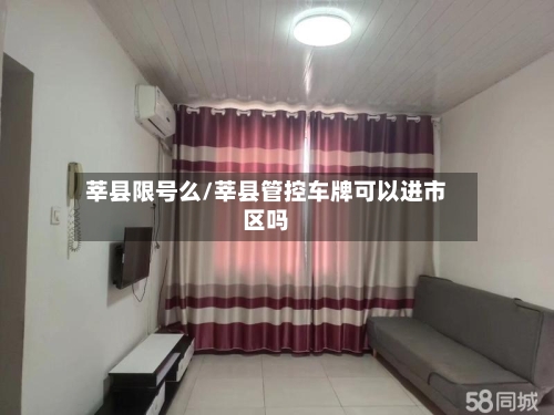 莘县限号么/莘县管控车牌可以进市区吗
