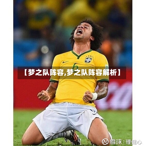 【梦之队阵容,梦之队阵容解析】-第3张图片