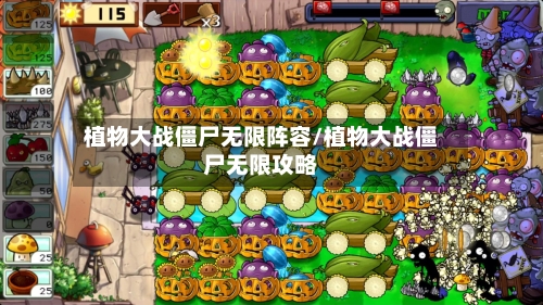 植物大战僵尸无限阵容/植物大战僵尸无限攻略