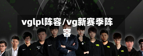 vglpl阵容/vg新赛季阵容
