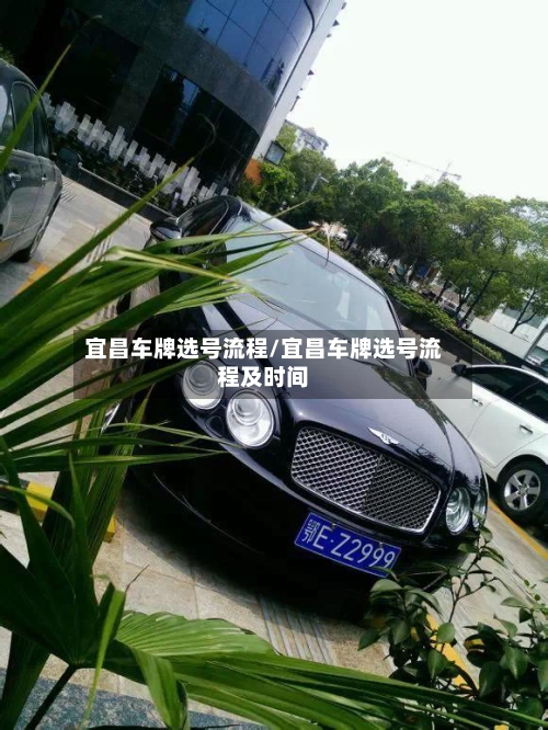 宜昌车牌选号流程/宜昌车牌选号流程及时间-第3张图片