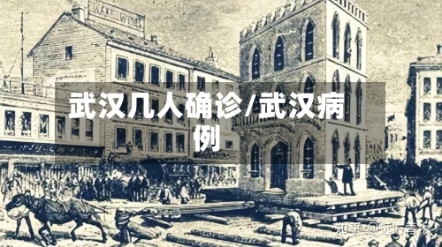 武汉几人确诊/武汉病例-第2张图片