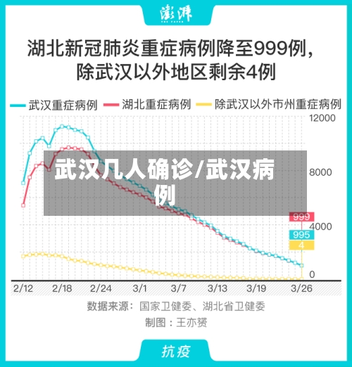 武汉几人确诊/武汉病例