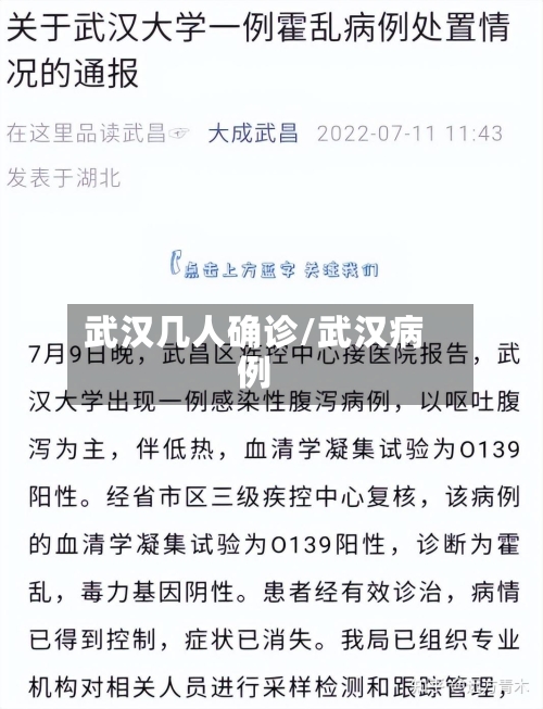 武汉几人确诊/武汉病例-第3张图片