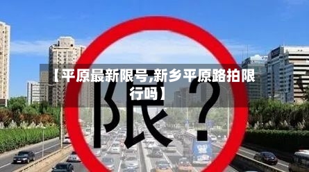 【平原最新限号,新乡平原路拍限行吗】-第2张图片
