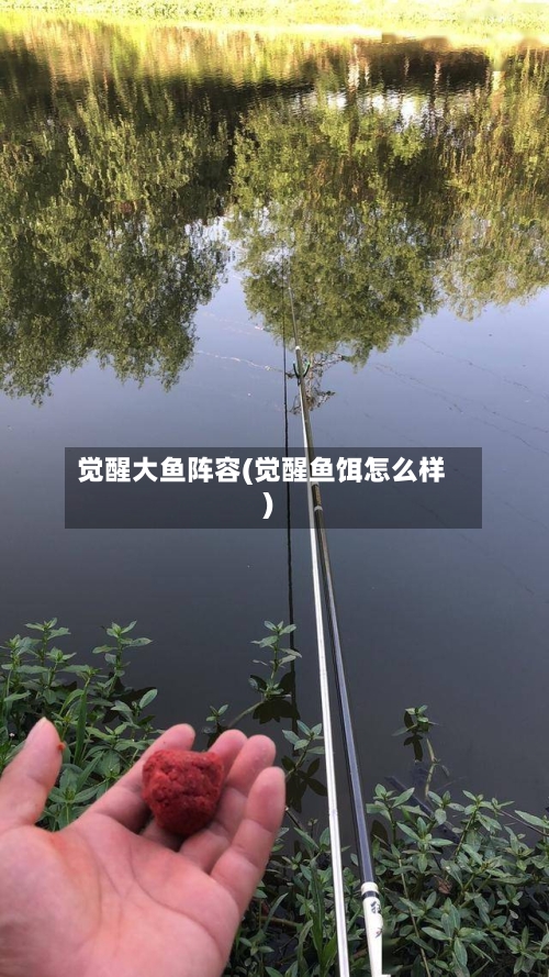 觉醒大鱼阵容(觉醒鱼饵怎么样)-第3张图片