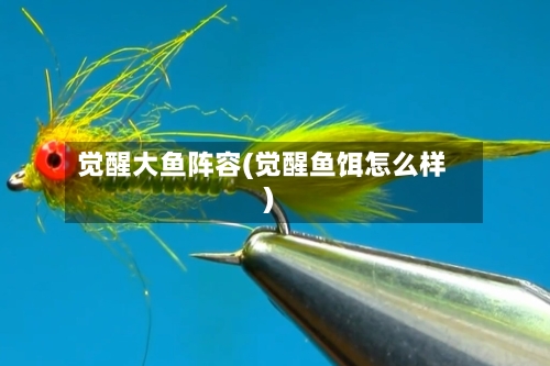 觉醒大鱼阵容(觉醒鱼饵怎么样)