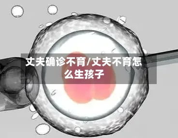 丈夫确诊不育/丈夫不育怎么生孩子