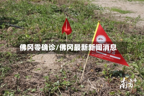 佛冈零确诊/佛冈最新新闻消息