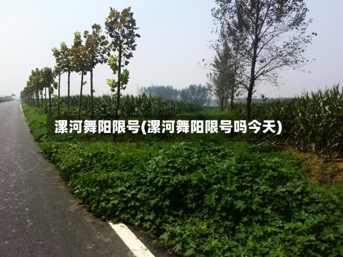 漯河舞阳限号(漯河舞阳限号吗今天)