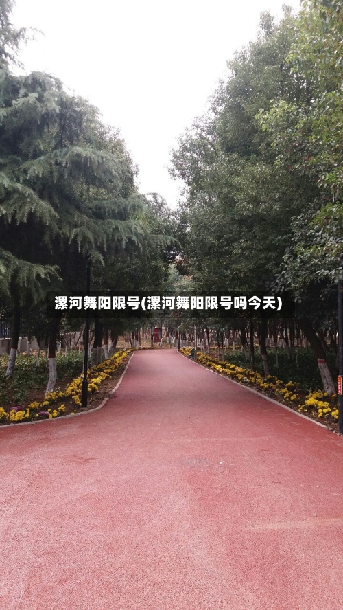 漯河舞阳限号(漯河舞阳限号吗今天)-第2张图片