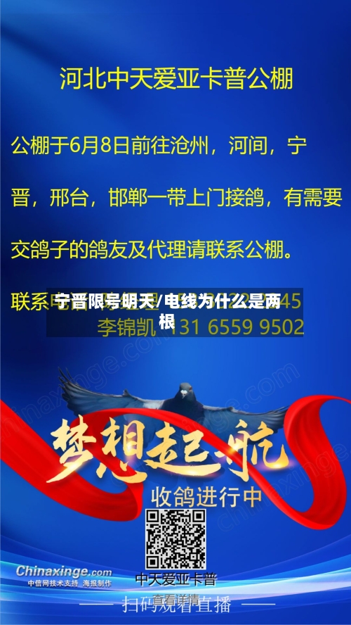 宁晋限号明天/电线为什么是两根