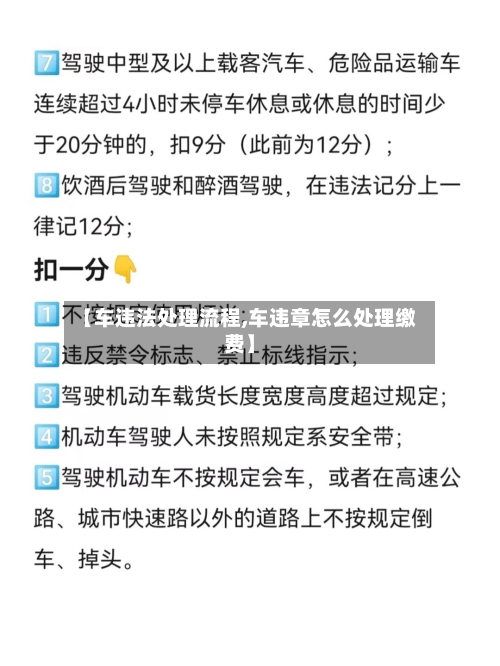 【车违法处理流程,车违章怎么处理缴费】