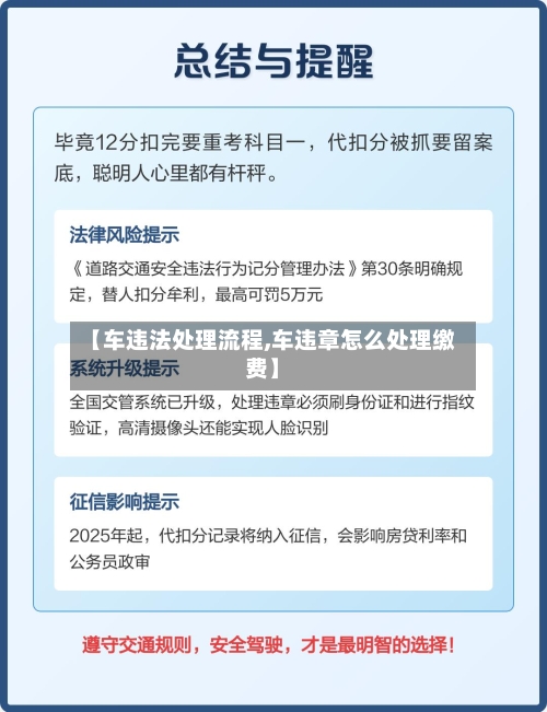 【车违法处理流程,车违章怎么处理缴费】-第3张图片