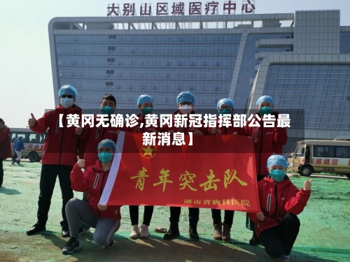 【黄冈无确诊,黄冈新冠指挥部公告最新消息】-第3张图片