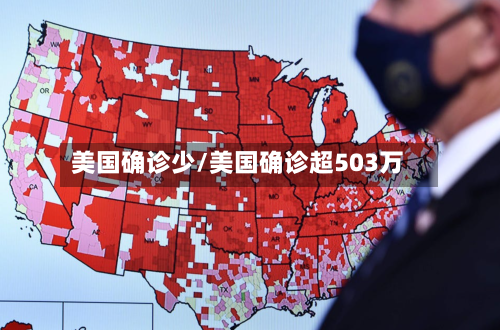 美国确诊少/美国确诊超503万
