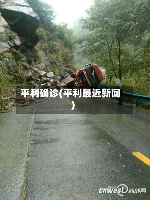 平利确诊(平利最近新闻)