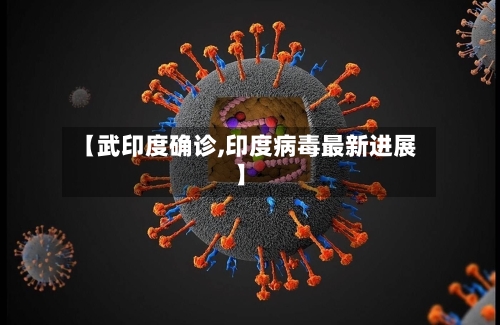 【武印度确诊,印度病毒最新进展】