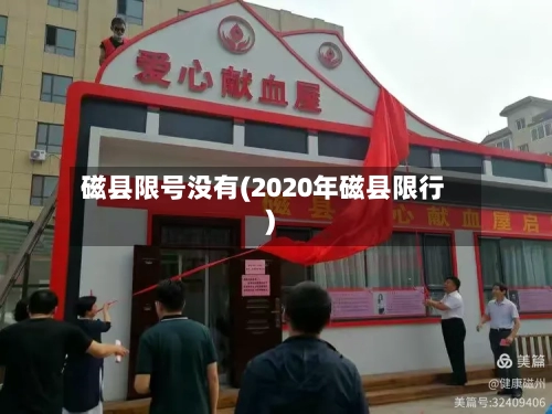 磁县限号没有(2020年磁县限行)-第2张图片