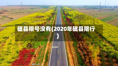 磁县限号没有(2020年磁县限行)-第3张图片
