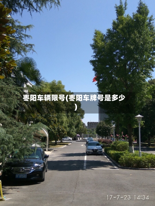枣阳车辆限号(枣阳车牌号是多少)