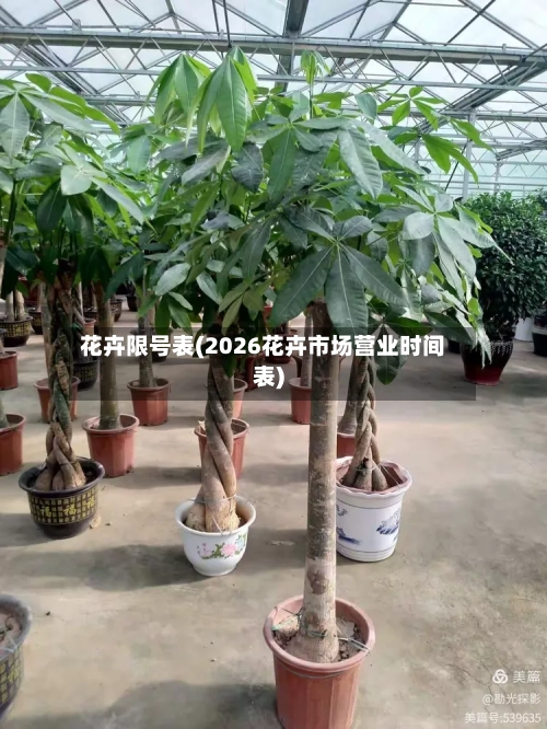 花卉限号表(2026花卉市场营业时间表)