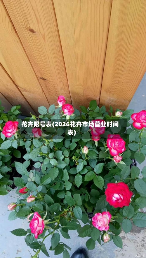 花卉限号表(2026花卉市场营业时间表)-第2张图片