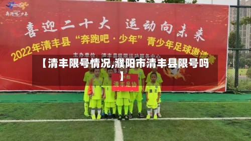 【清丰限号情况,濮阳市清丰县限号吗】