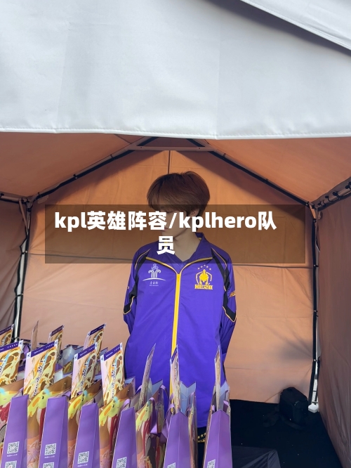 kpl英雄阵容/kplhero队员