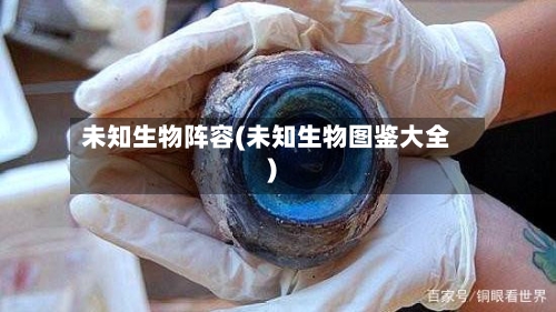 未知生物阵容(未知生物图鉴大全)-第2张图片
