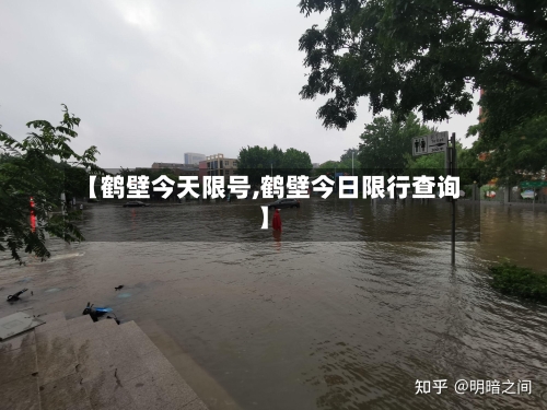 【鹤壁今天限号,鹤壁今日限行查询】