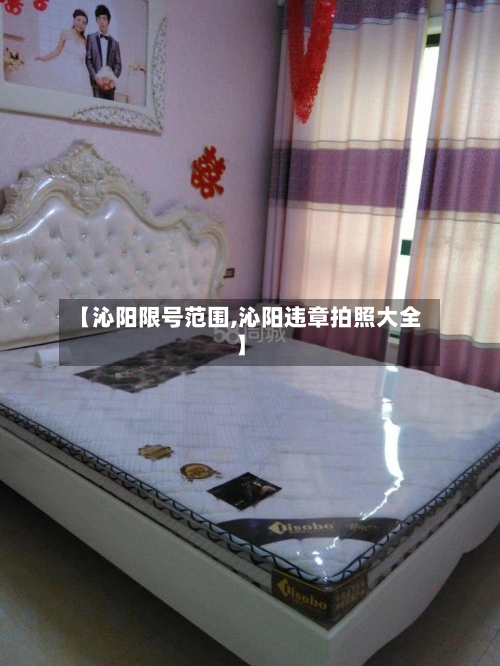 【沁阳限号范围,沁阳违章拍照大全】