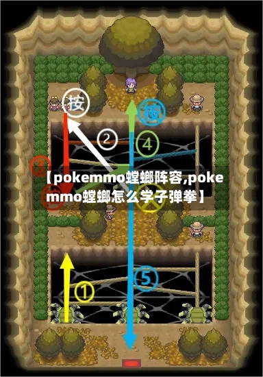 【pokemmo螳螂阵容,pokemmo螳螂怎么学子弹拳】