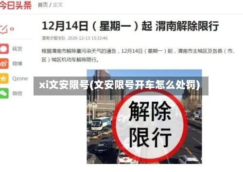 xi文安限号(文安限号开车怎么处罚)-第3张图片