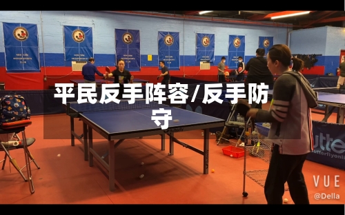 平民反手阵容/反手防守-第2张图片