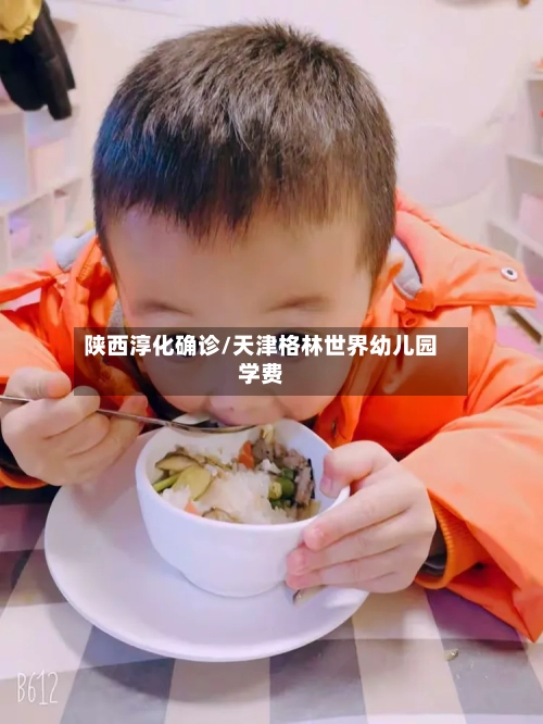 陕西淳化确诊/天津格林世界幼儿园学费-第3张图片