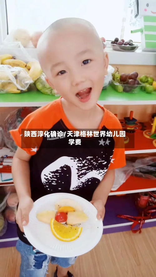 陕西淳化确诊/天津格林世界幼儿园学费-第2张图片