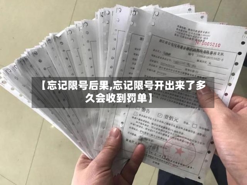 【忘记限号后果,忘记限号开出来了多久会收到罚单】-第3张图片