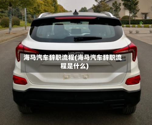 海马汽车辞职流程(海马汽车辞职流程是什么)-第3张图片