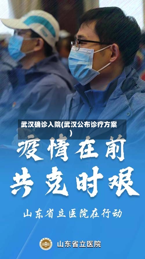 武汉确诊入院(武汉公布诊疗方案)
