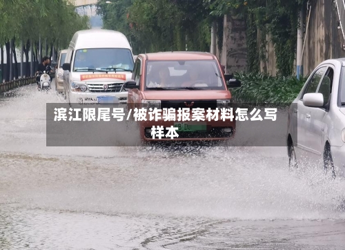 滨江限尾号/被诈骗报案材料怎么写样本-第3张图片