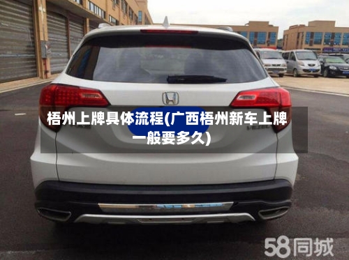 梧州上牌具体流程(广西梧州新车上牌一般要多久)